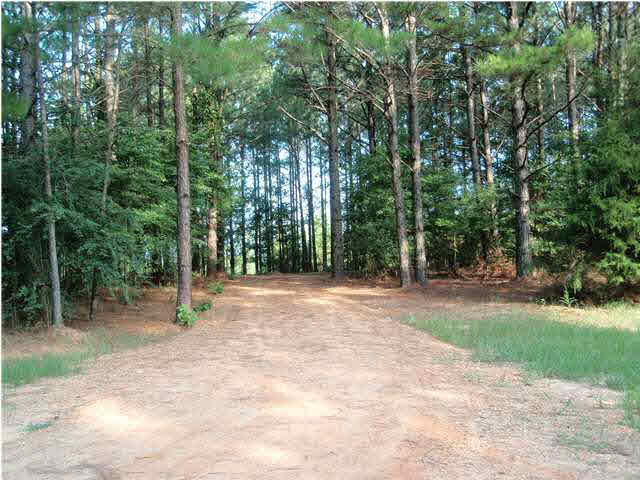 303 Everett Church Road Mendenhall, MS 39114 - Photo 1 of 8 Photo 1