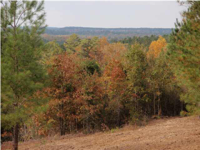 303 Everett Church Road Mendenhall, MS 39114 - Photo 2 of 8 Photo 2