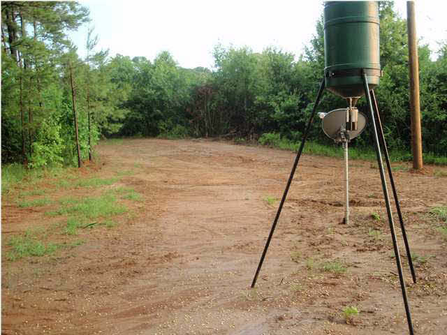 303 Everett Church Road Mendenhall, MS 39114 - Photo 7 of 8 Photo 7