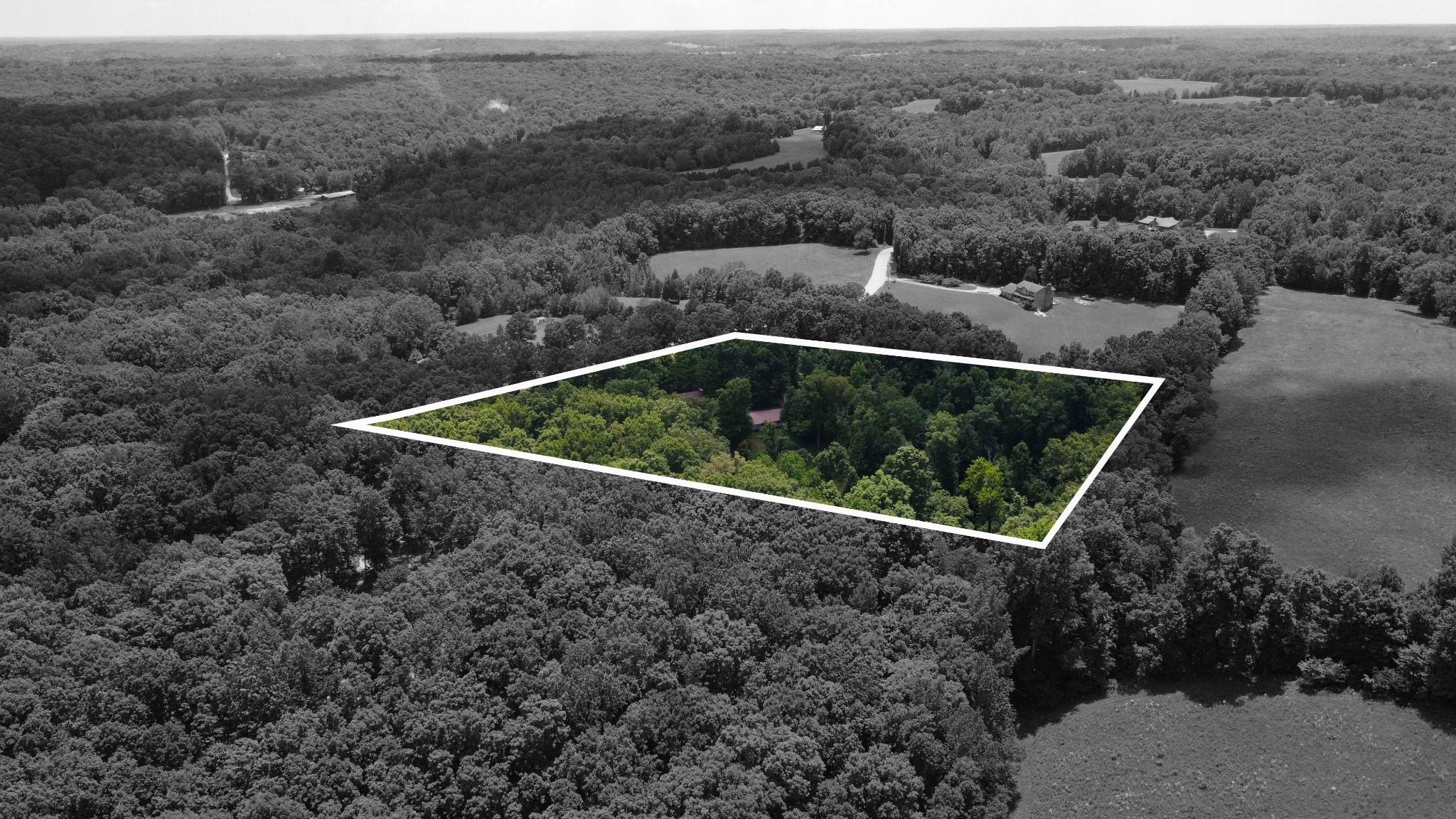 887 Harvey Road Cumberland Furnace, TN 37051 - Photo 39 of 72 an aerial view of house with yard