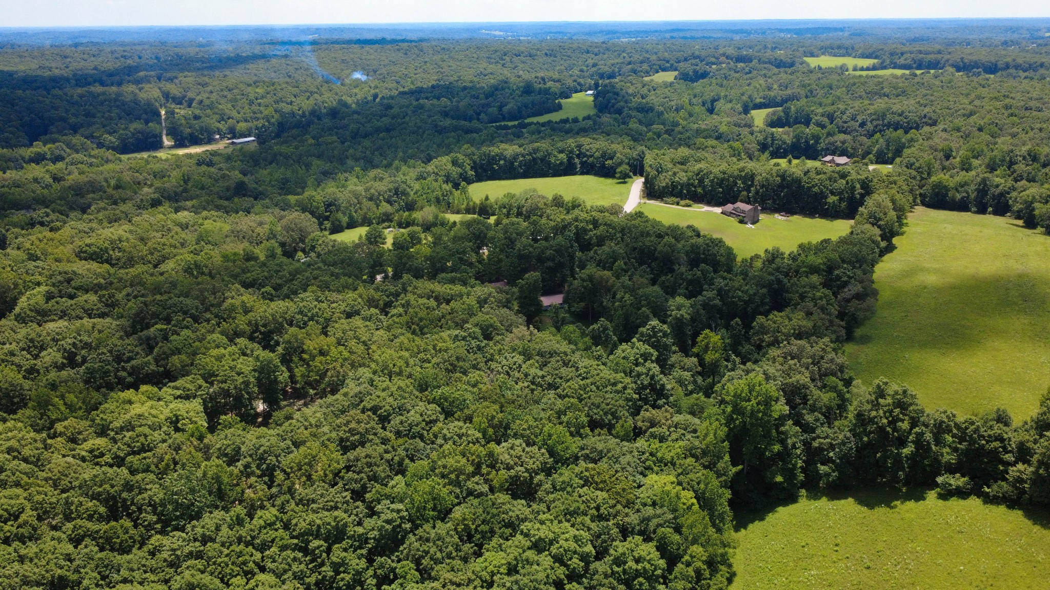 887 Harvey Road Cumberland Furnace, TN 37051 - Photo 40 of 72 an aerial view of a house with mountain view