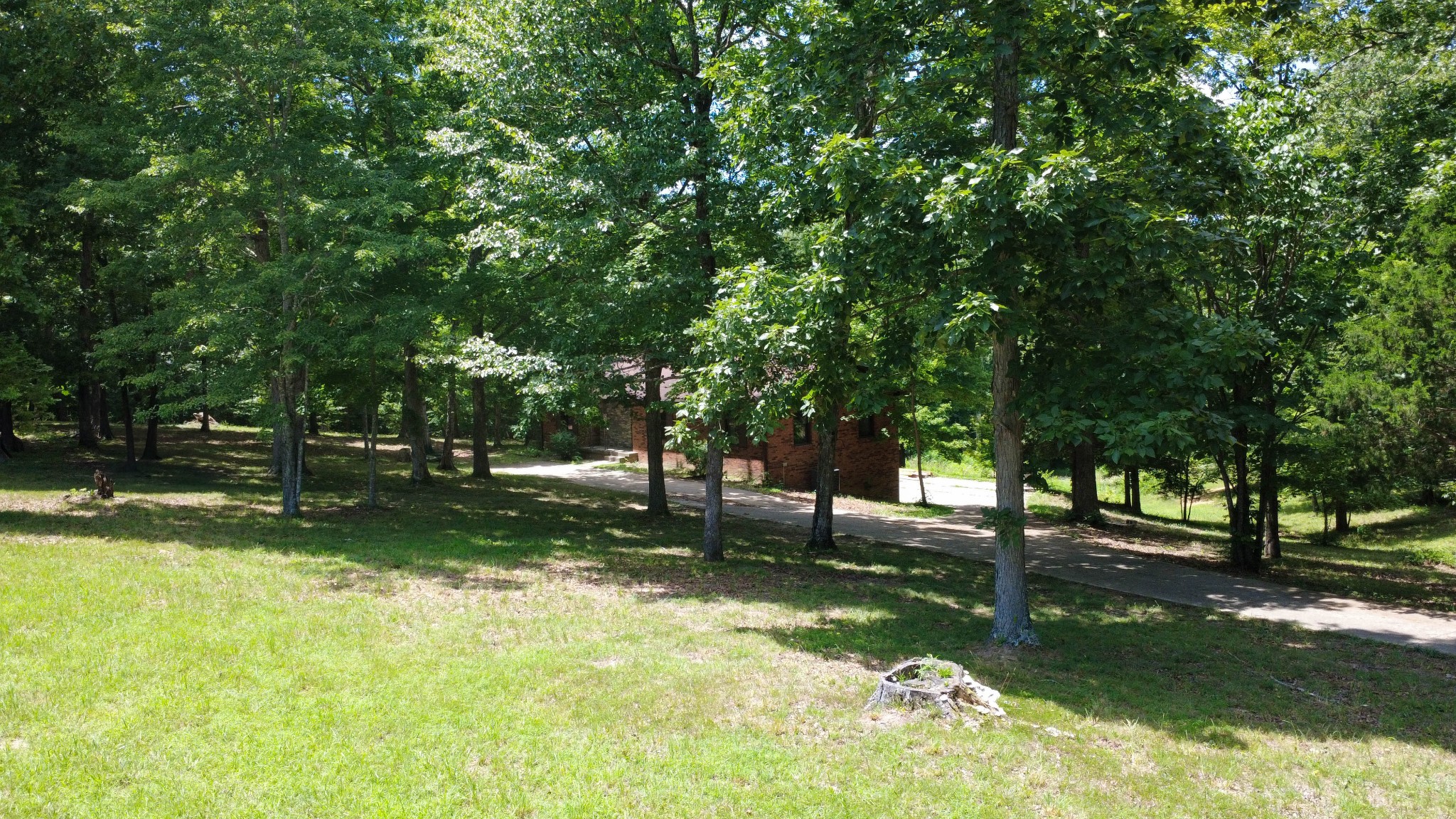 887 Harvey Road Cumberland Furnace, TN 37051 - Photo 41 of 72 a view of a yard with tree s