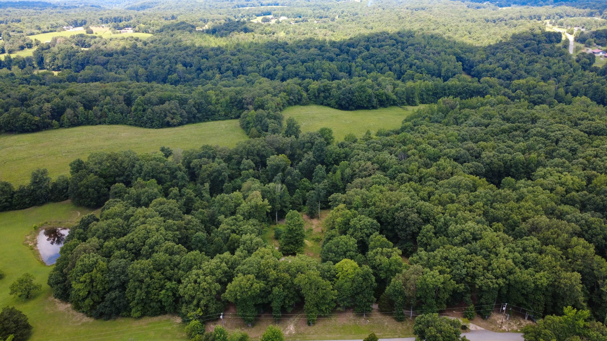 887 Harvey Road Cumberland Furnace, TN 37051 - Photo 44 of 72 a view of a forest with a houses