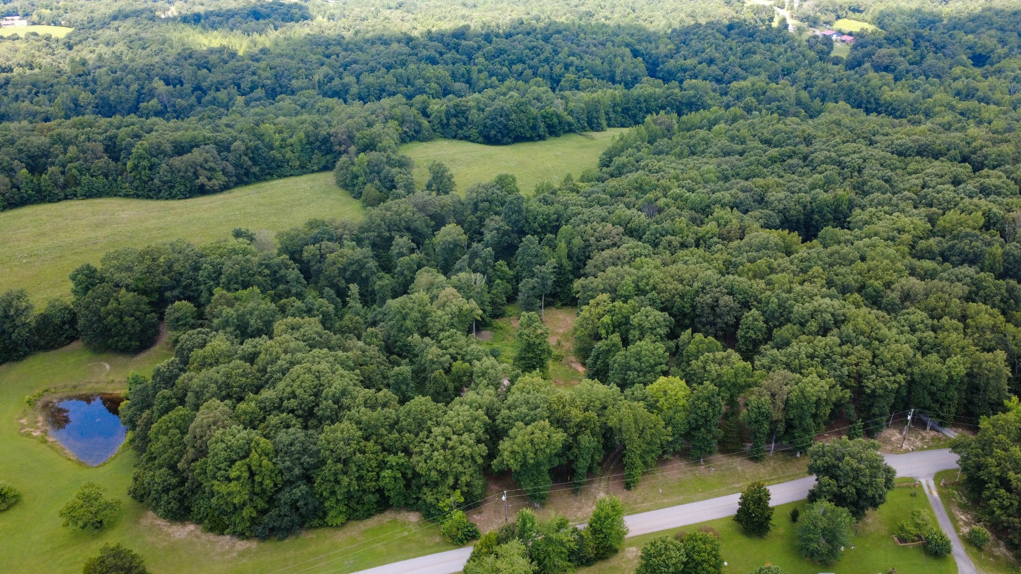 887 Harvey Road Cumberland Furnace, TN 37051 - Photo 45 of 72