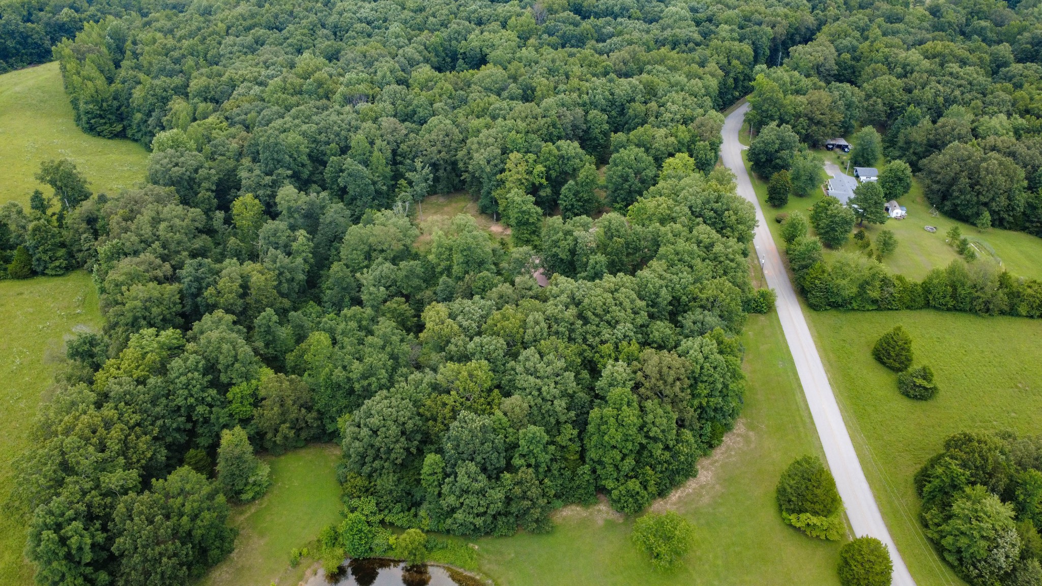 887 Harvey Road Cumberland Furnace, TN 37051 - Photo 47 of 72 a view of a garden