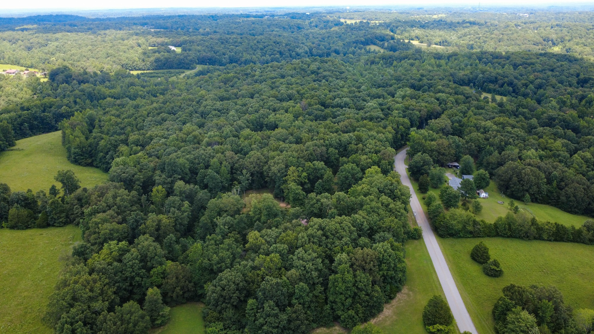 887 Harvey Road Cumberland Furnace, TN 37051 - Photo 49 of 72 an aerial view of green landscape with trees houses and mountain view