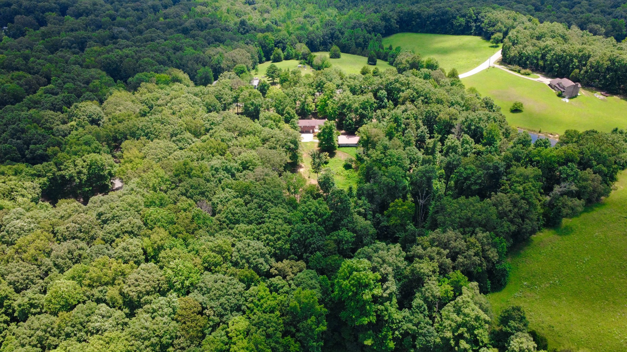 887 Harvey Road Cumberland Furnace, TN 37051 - Photo 51 of 72 an aerial view of residential house with outdoor space and trees all around
