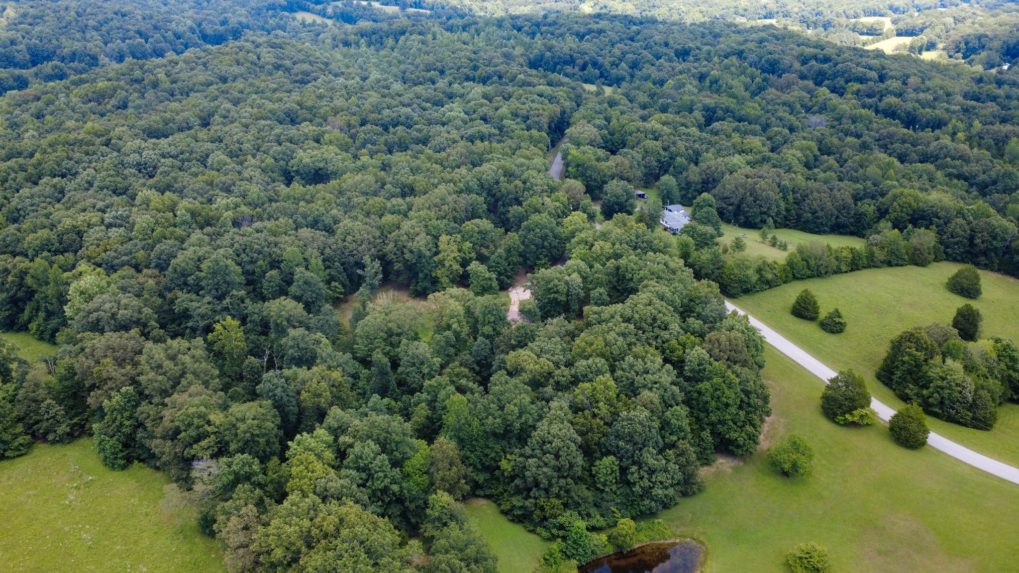 887 Harvey Road Cumberland Furnace, TN 37051 - Photo 53 of 72 an aerial view of a house with a yard