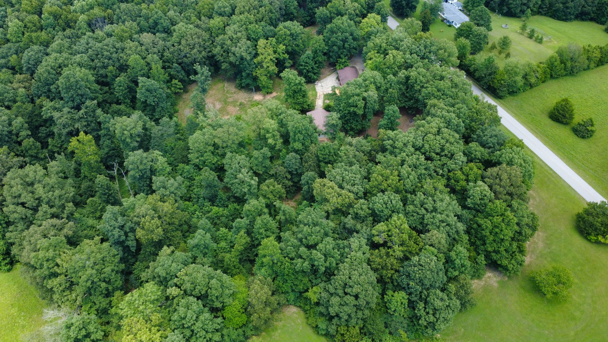 887 Harvey Road Cumberland Furnace, TN 37051 - Photo 54 of 72 an aerial view of residential house with outdoor space and trees all around