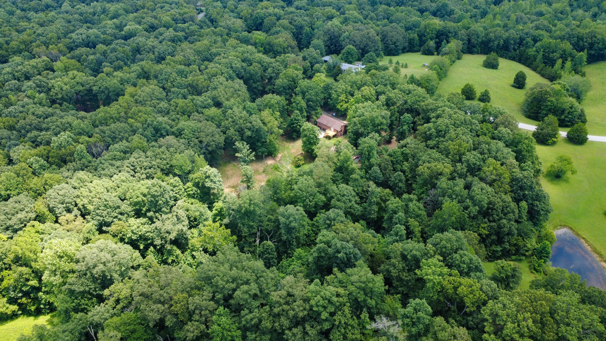 887 Harvey Road Cumberland Furnace, TN 37051 - Photo 55 of 72 an aerial view of a house with a yard