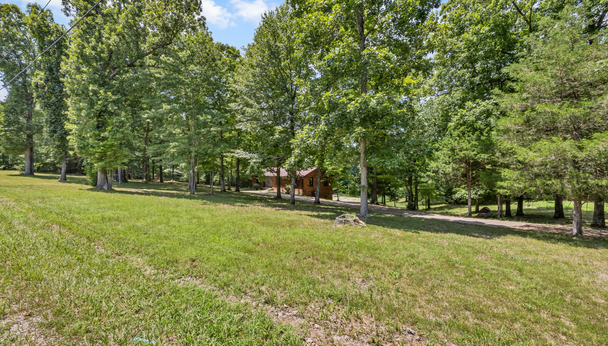 887 Harvey Road Cumberland Furnace, TN 37051 - Photo 61 of 72 a view of a park with large trees