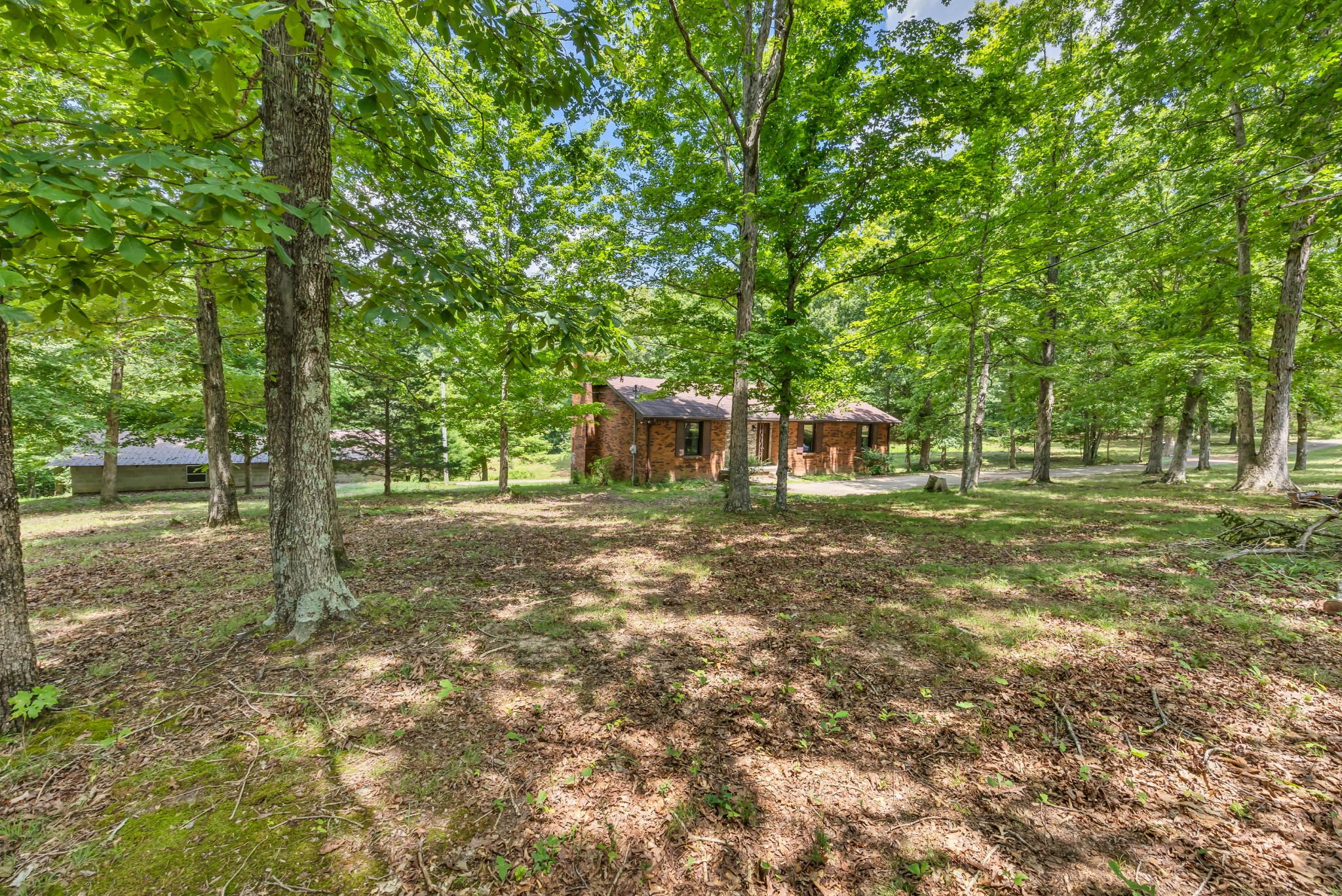 887 Harvey Road Cumberland Furnace, TN 37051 - Photo 63 of 72 a backyard of a house with lots of green space