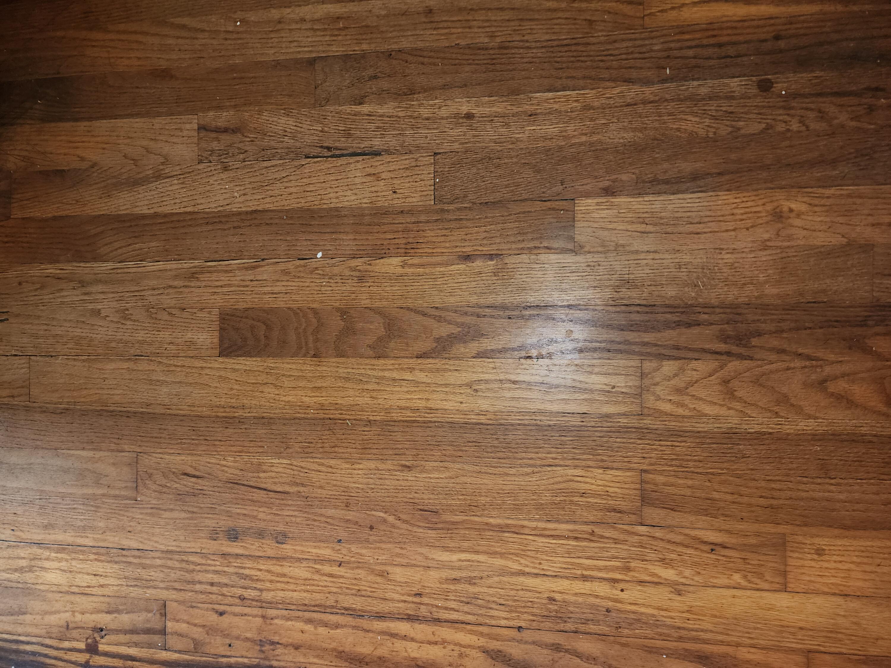 3908 South Section Line Road Delaware, OH 43015 - Photo 56 of 56 Hardwood floors