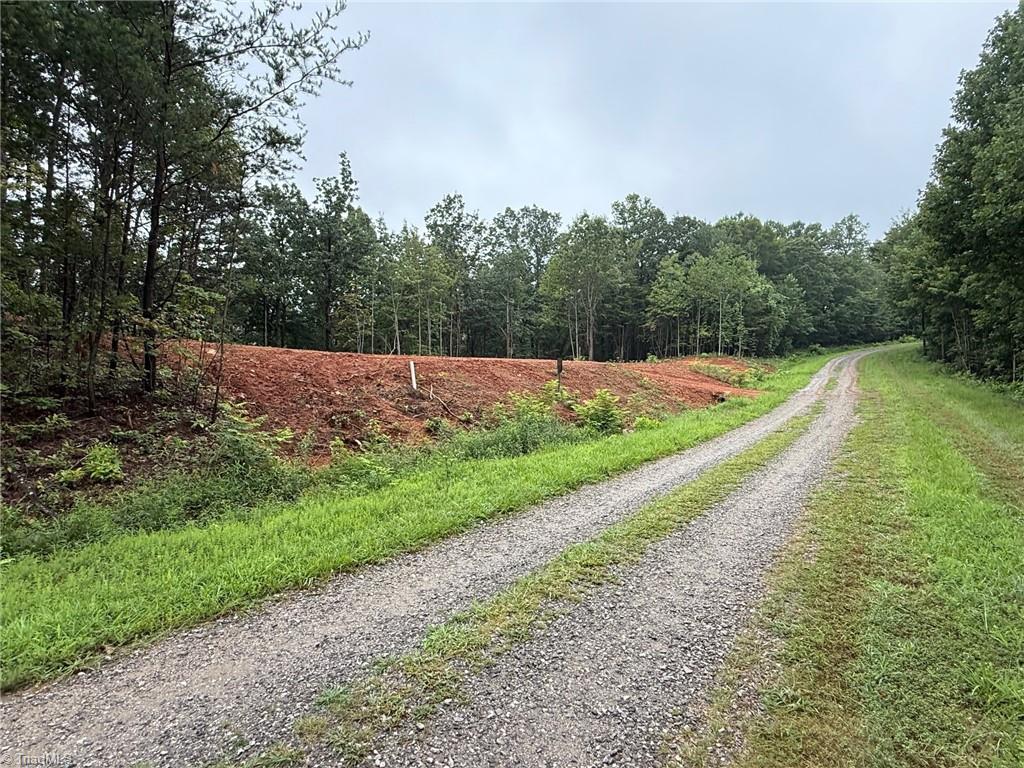 Lot 2 Falcon Ridge Drive Moravian Falls, NC 28654 - Photo 3 of 7