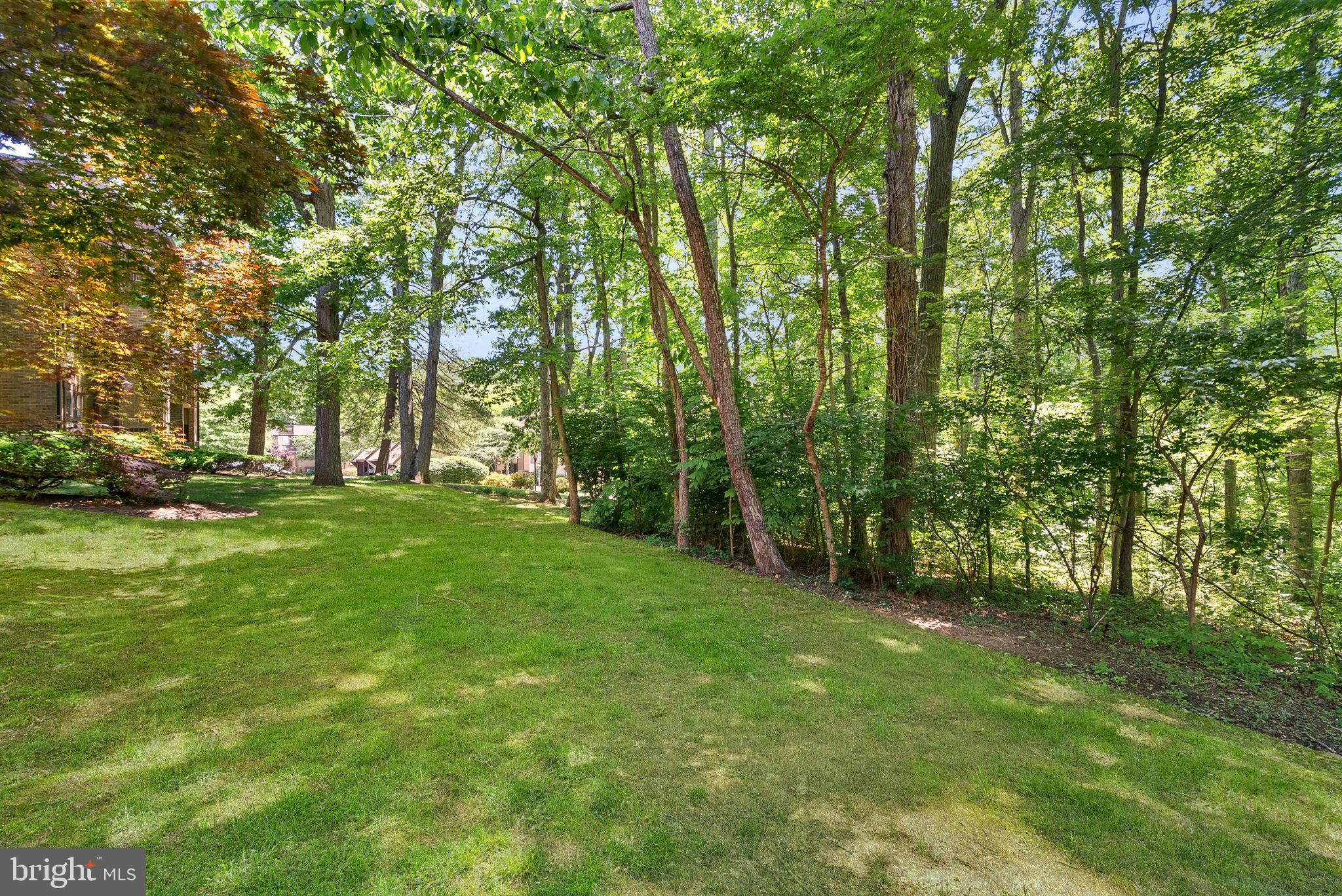 1668 Parkcrest Circle, Unit 100 Reston, VA 20190 - Photo 4 of 34 a view of green field with trees