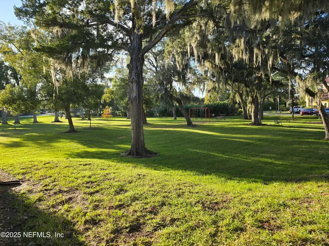 a view of a big yard with a large trees