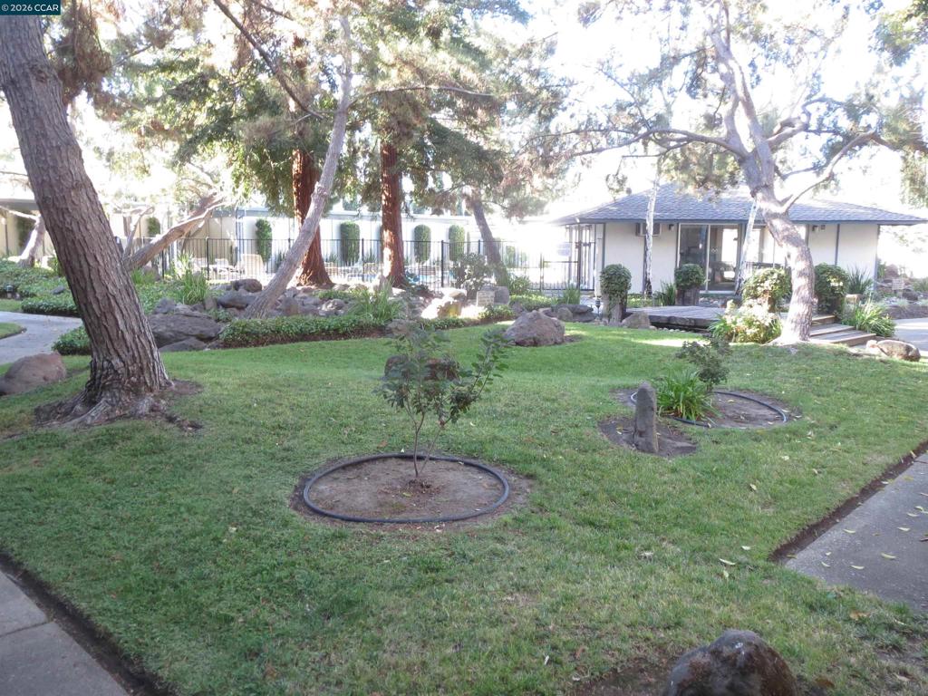 1591 Ellis Street Concord, CA 94520 - Photo 5 of 11 a view of a backyard with a garden and plants