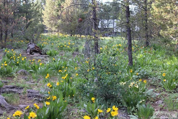 $89,000 | 0 Buffalo Drive North, Island Park, ID 83429