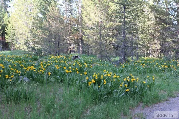 $89,000 | 0 Buffalo Drive North, Island Park, ID 83429