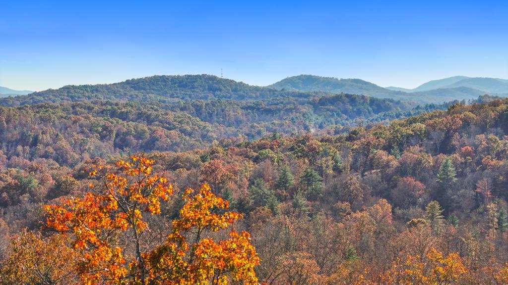 19 Haven Way Blue Ridge, GA 30513 - Photo 1 of 19 Main View