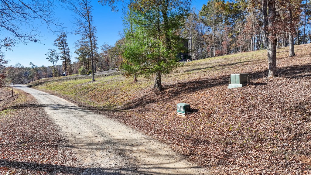 19 Haven Way Blue Ridge, GA 30513 - Photo 11 of 19