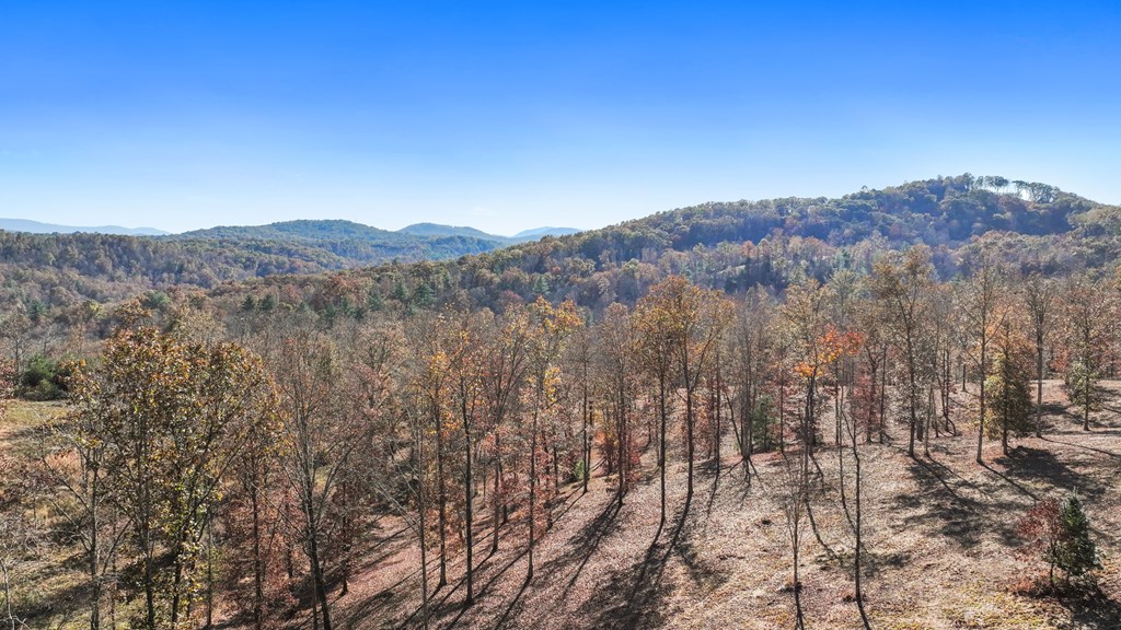 19 Haven Way Blue Ridge, GA 30513 - Photo 12 of 19