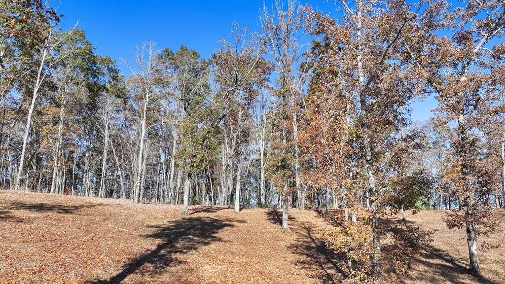 19 Haven Way Blue Ridge, GA 30513 - Photo 13 of 19