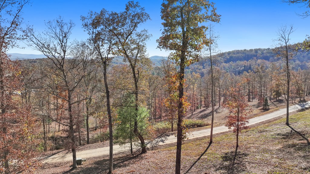 19 Haven Way Blue Ridge, GA 30513 - Photo 14 of 19