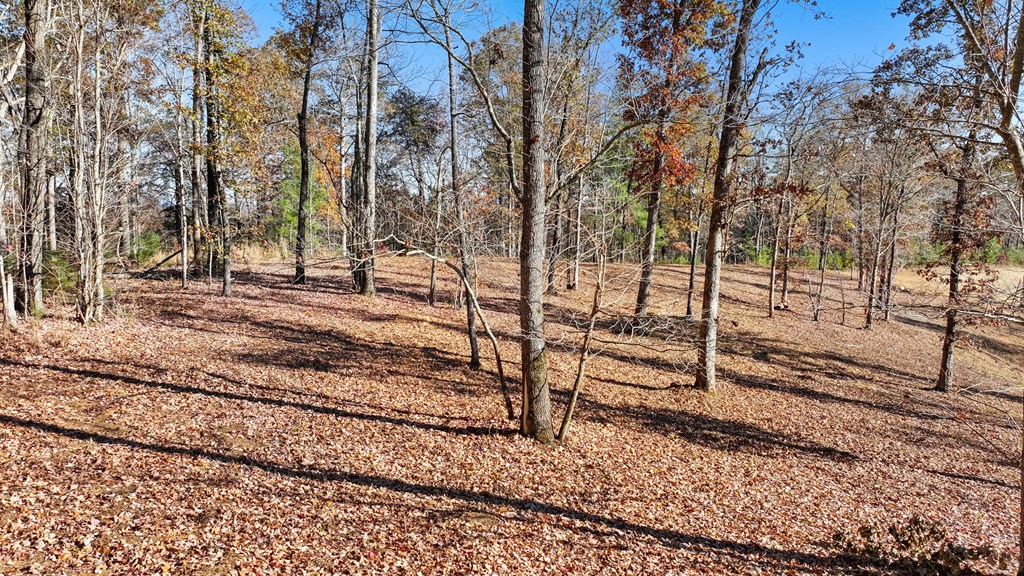 19 Haven Way Blue Ridge, GA 30513 - Photo 16 of 19