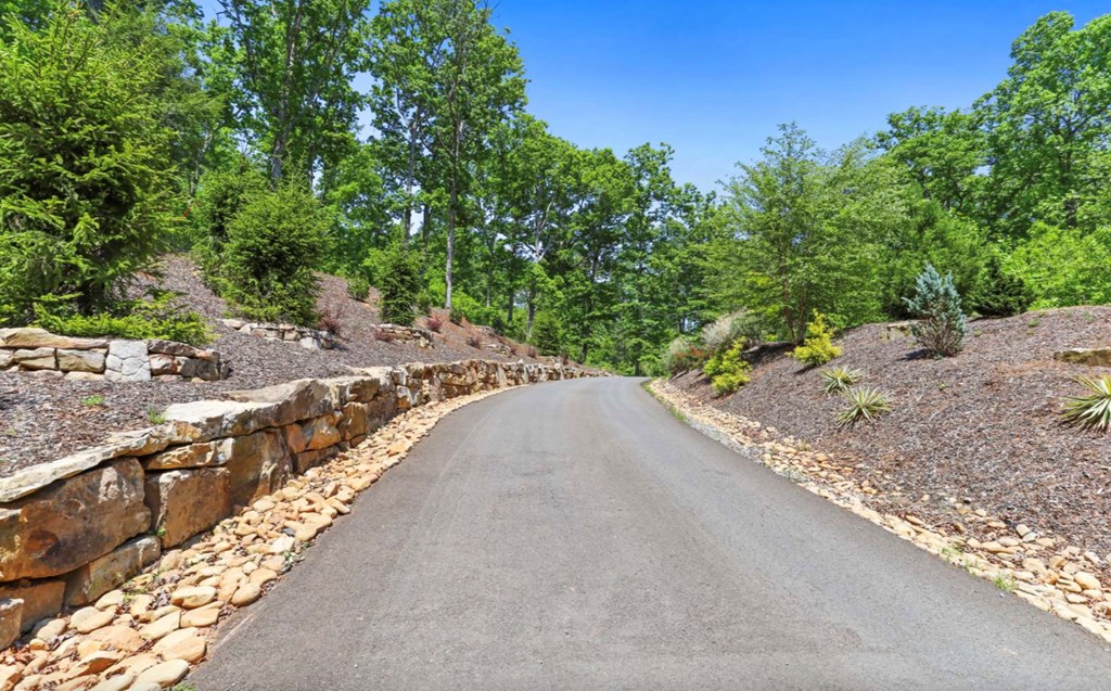 19 Haven Way Blue Ridge, GA 30513 - Photo 18 of 19