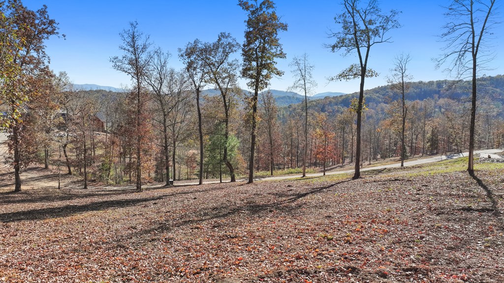 19 Haven Way Blue Ridge, GA 30513 - Photo 3 of 19