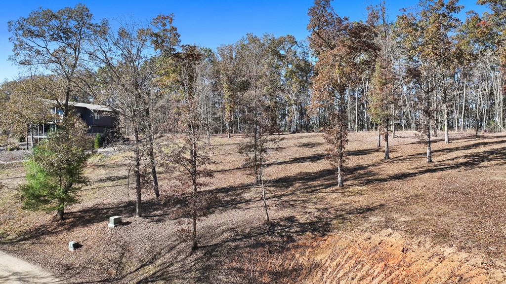 19 Haven Way Blue Ridge, GA 30513 - Photo 4 of 19