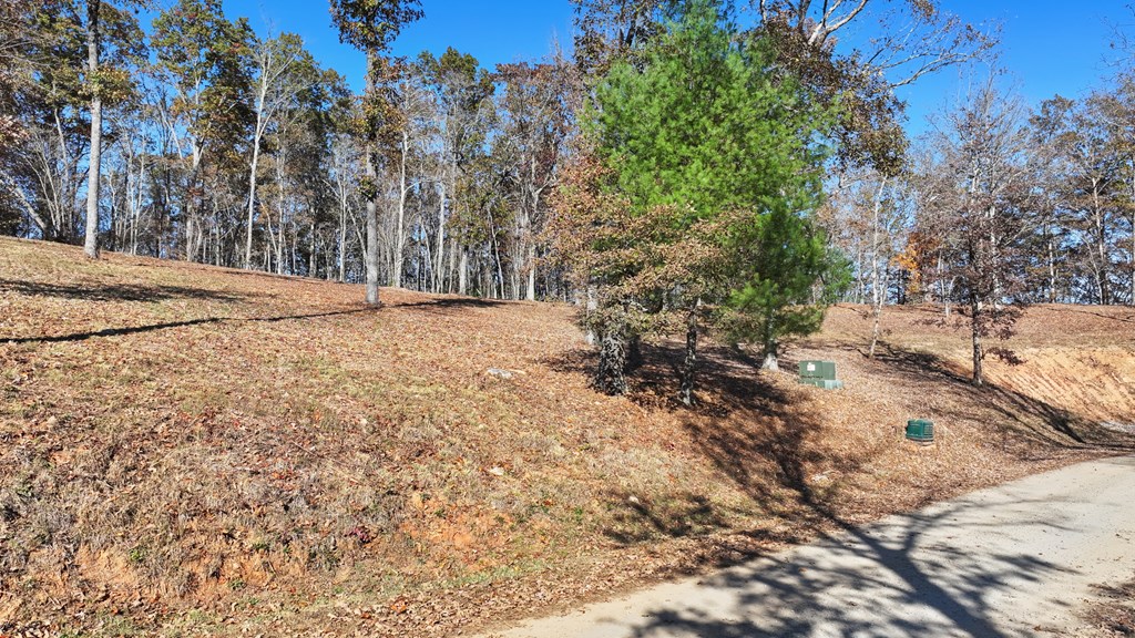 19 Haven Way Blue Ridge, GA 30513 - Photo 5 of 19