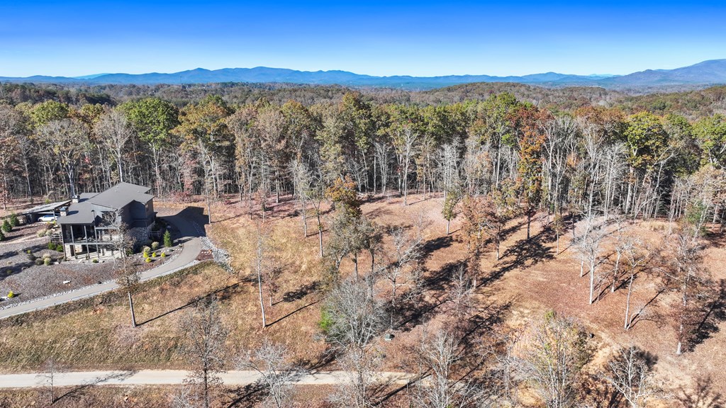 19 Haven Way Blue Ridge, GA 30513 - Photo 6 of 19