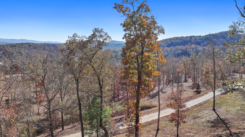 19 Haven Way Blue Ridge, GA 30513 - Photo 7 of 19