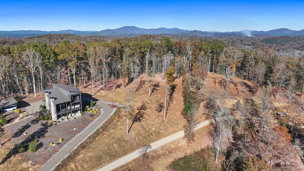 19 Haven Way Blue Ridge, GA 30513 - Photo 8 of 19