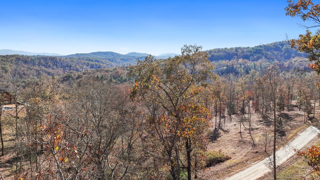 19 Haven Way Blue Ridge, GA 30513 - Photo 10 of 19