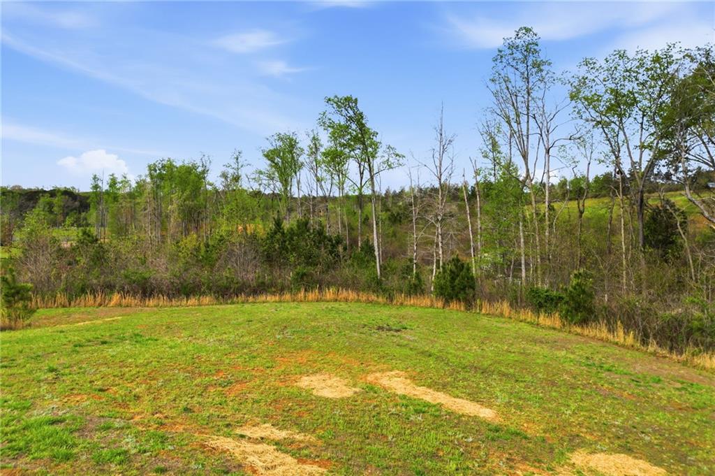 3931 Upper Bethany Road Ball Ground, GA 30107 - Photo 37 of 43