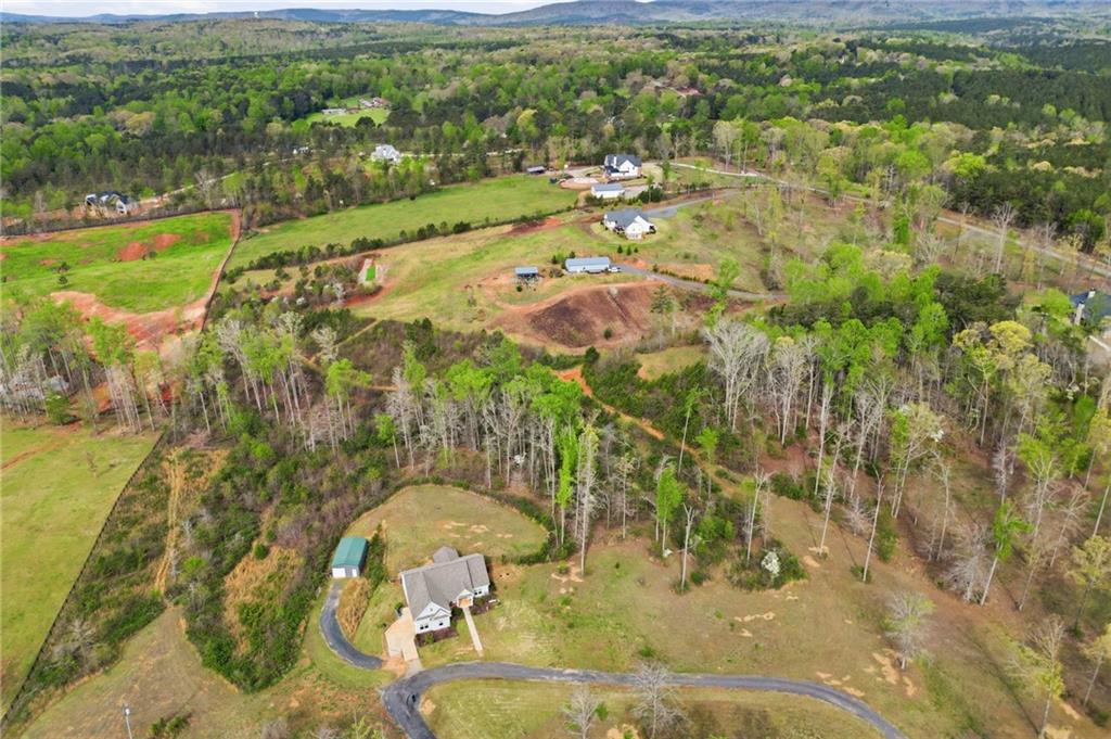 3931 Upper Bethany Road Ball Ground, GA 30107 - Photo 40 of 43