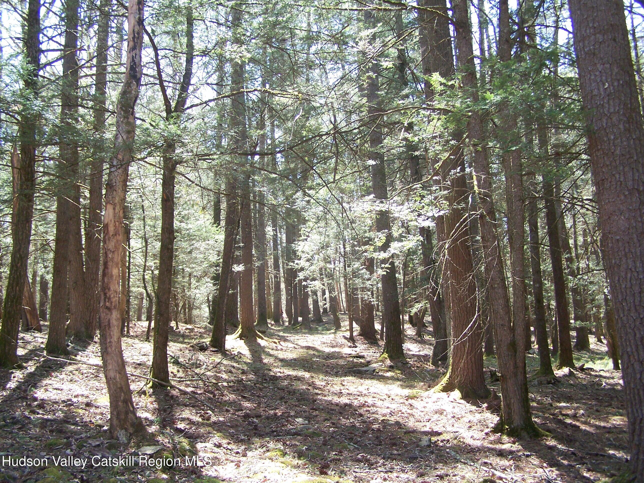 Tbd Buck Road Stone Ridge, NY 12484 - Photo 11 of 20 b12