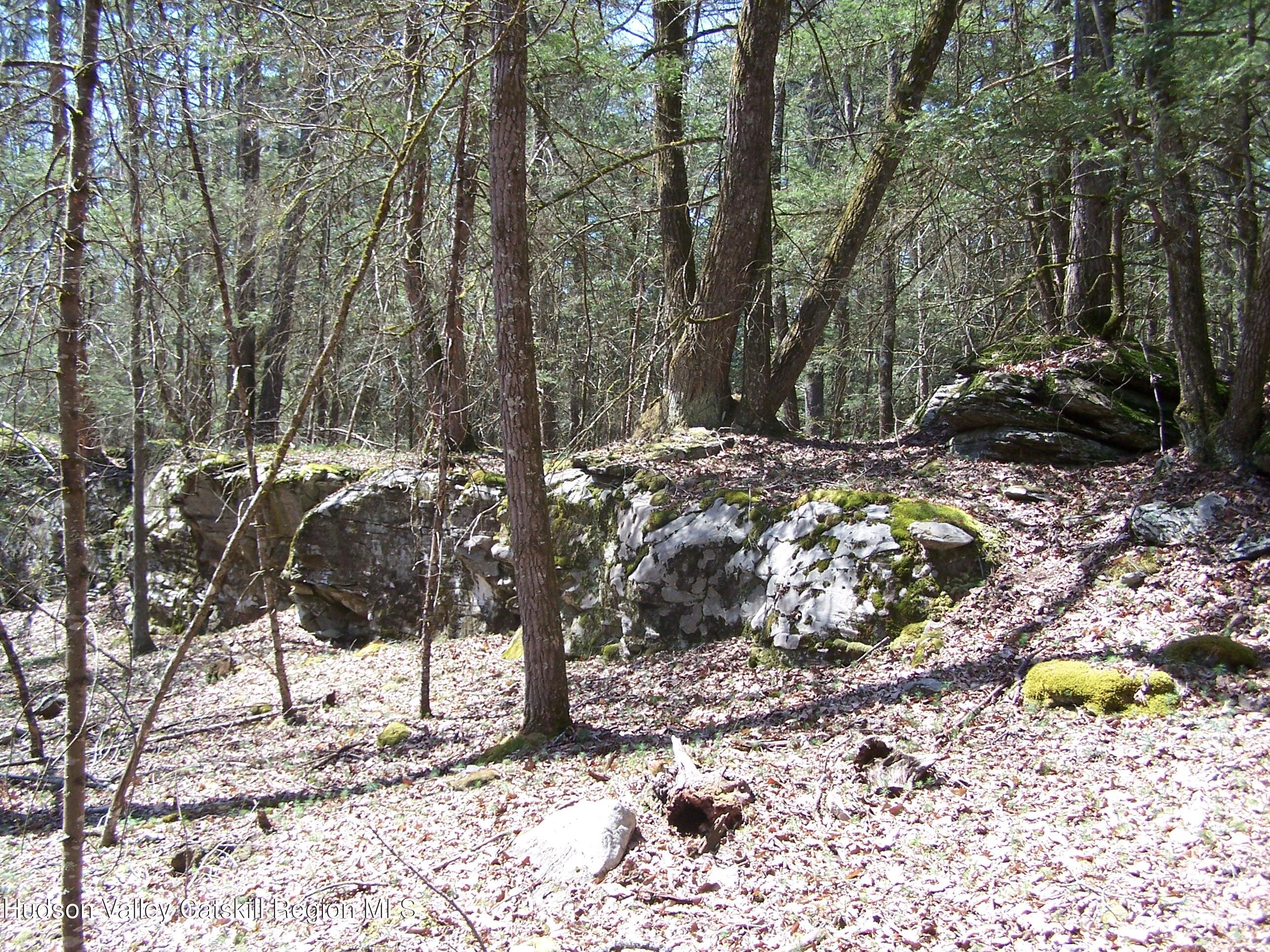 Tbd Buck Road Stone Ridge, NY 12484 - Photo 15 of 20 b15