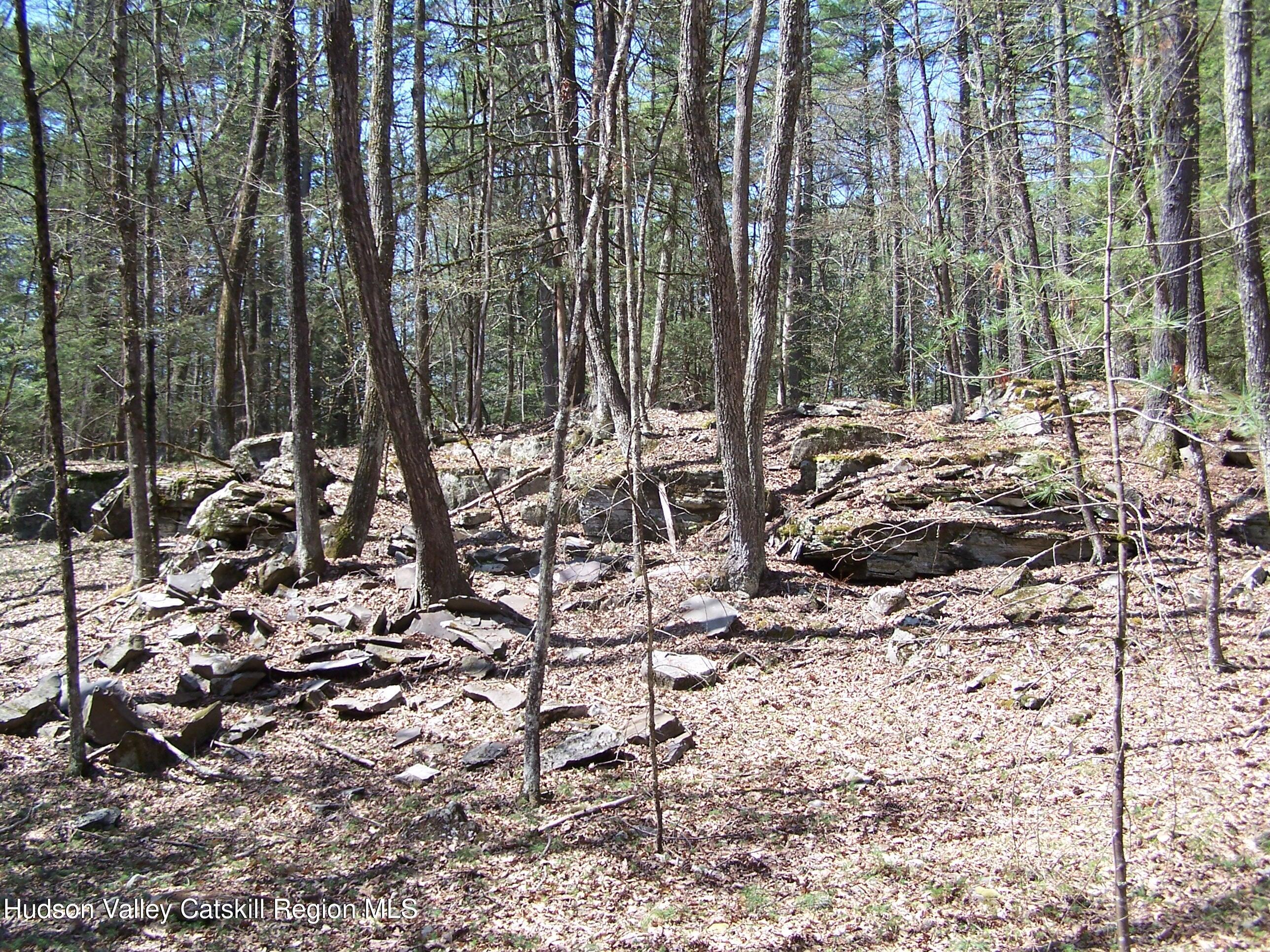 Tbd Buck Road Stone Ridge, NY 12484 - Photo 16 of 20 b17