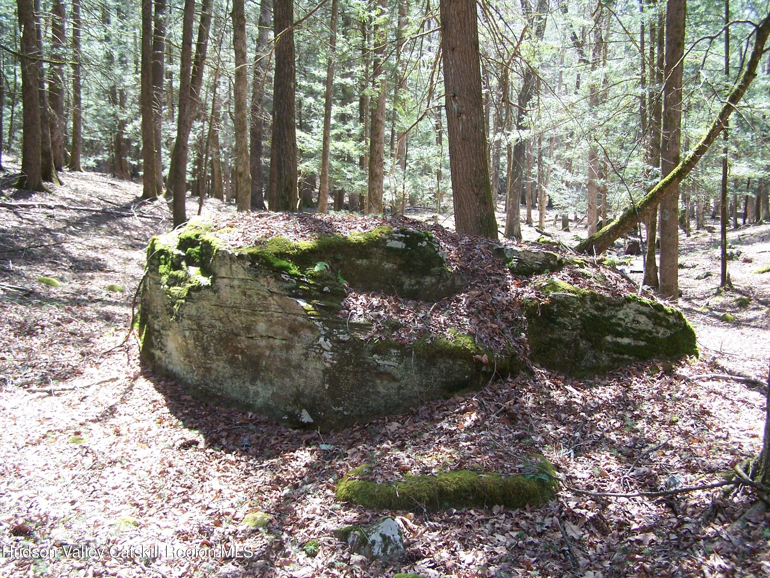 Tbd Buck Road Stone Ridge, NY 12484 - Photo 17 of 20 b4