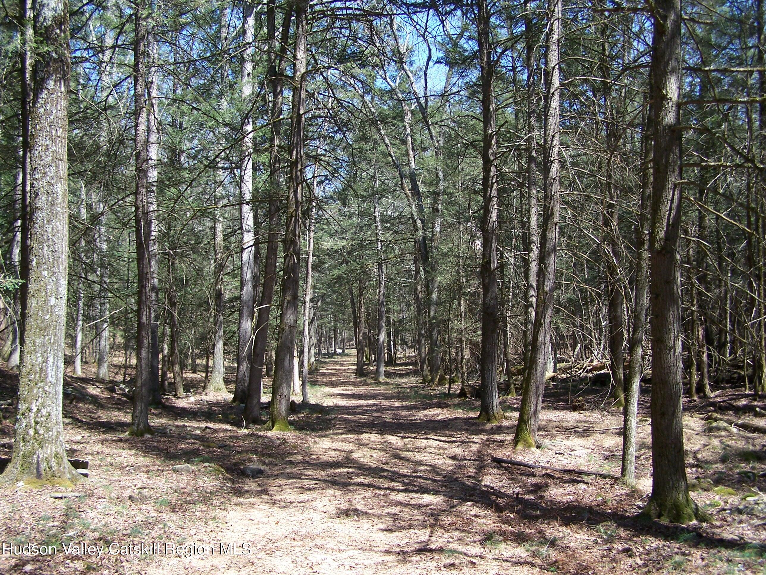 Tbd Buck Road Stone Ridge, NY 12484 - Photo 18 of 20 b18