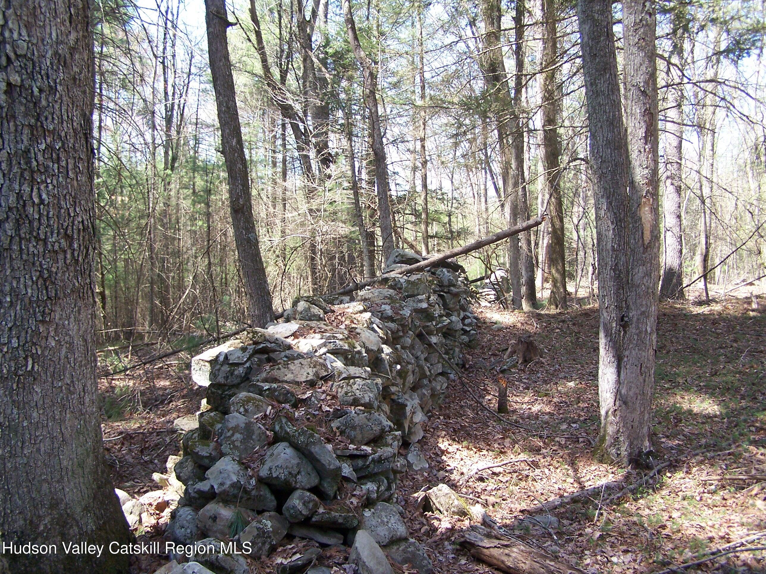 Tbd Buck Road Stone Ridge, NY 12484 - Photo 2 of 20 b1