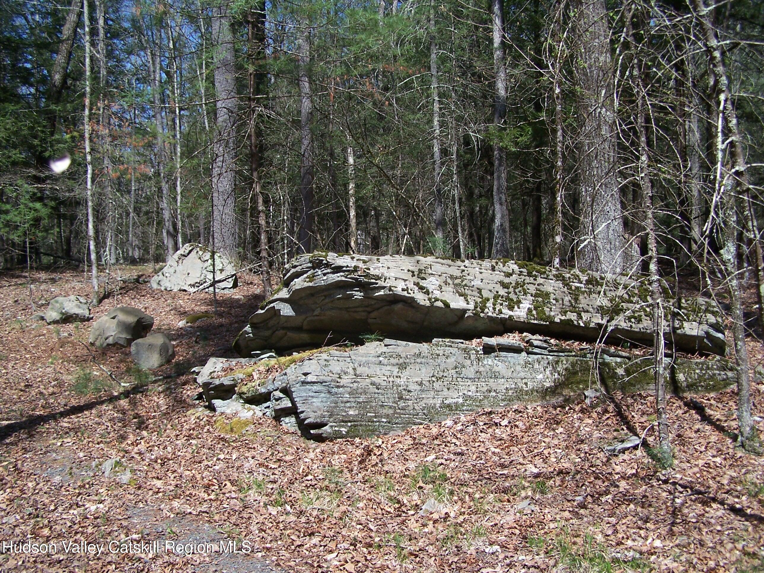 Tbd Buck Road Stone Ridge, NY 12484 - Photo 3 of 20 b3