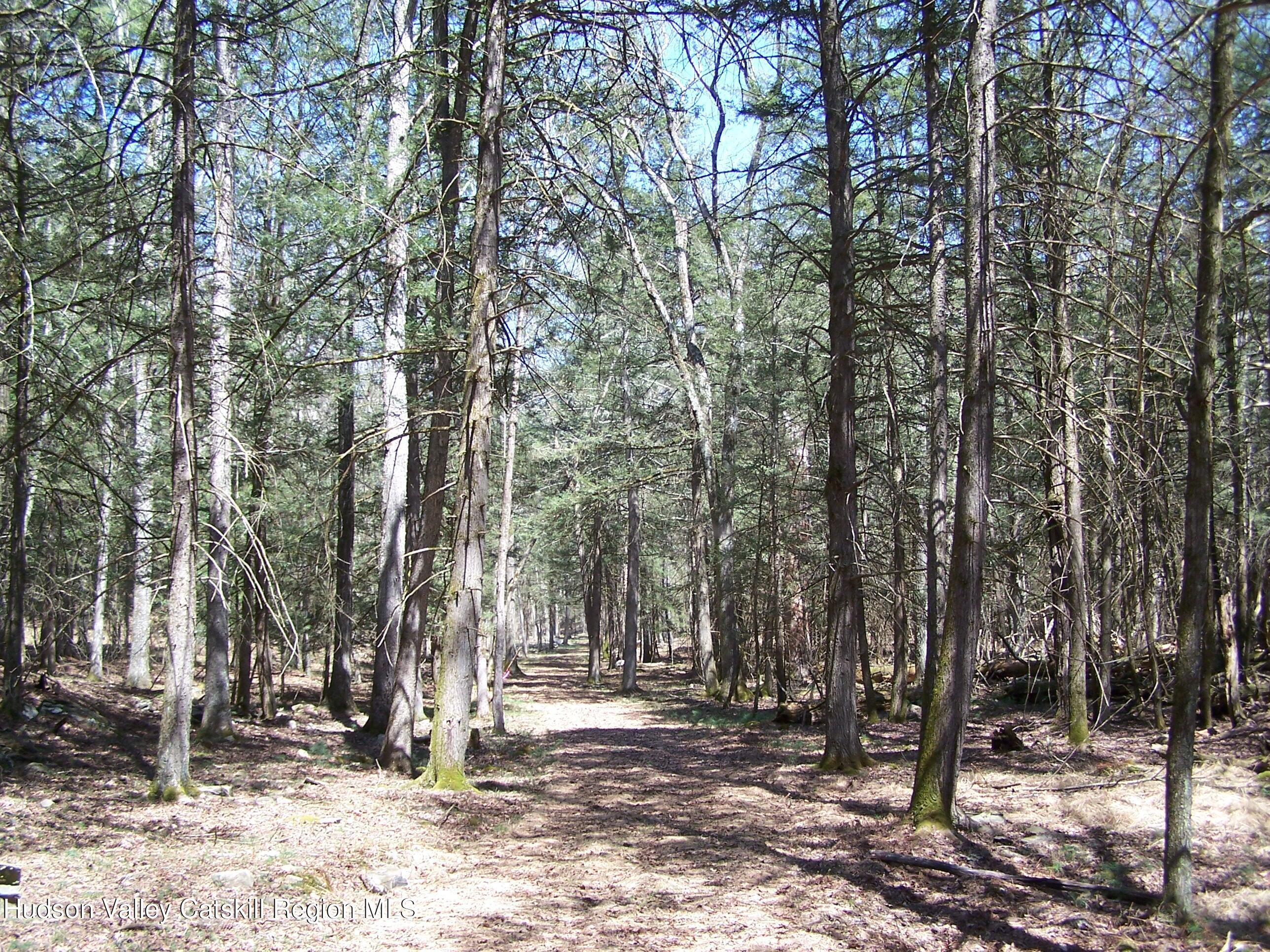 Tbd Buck Road Stone Ridge, NY 12484 - Photo 4 of 20 b7