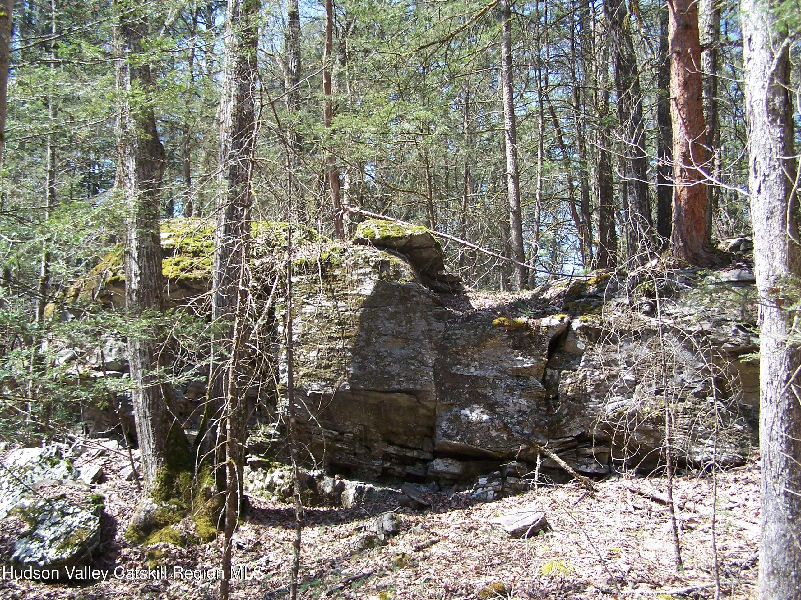 Tbd Buck Road Stone Ridge, NY 12484 - Photo 6 of 20 b16