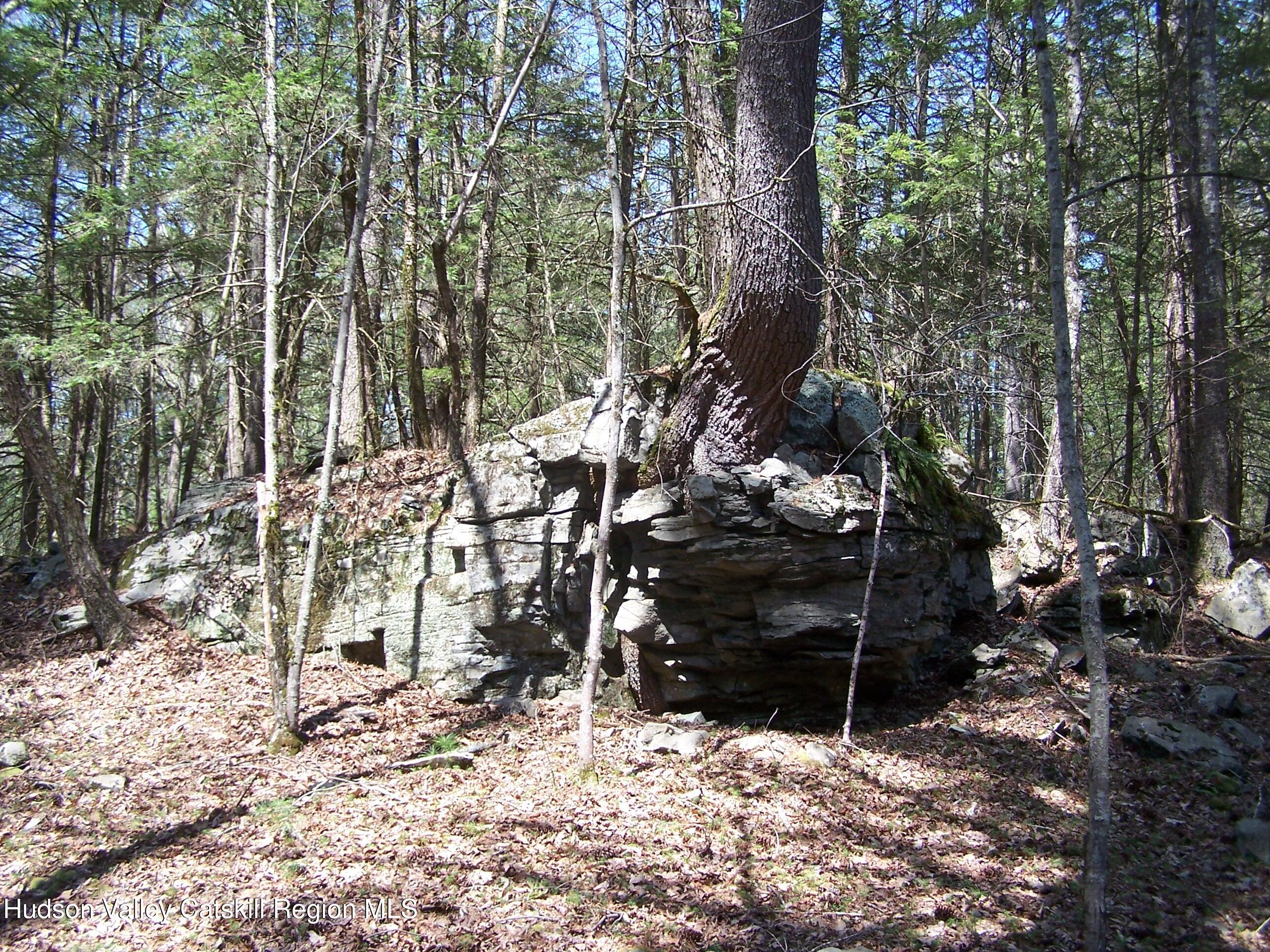 Tbd Buck Road Stone Ridge, NY 12484 - Photo 9 of 20 b6