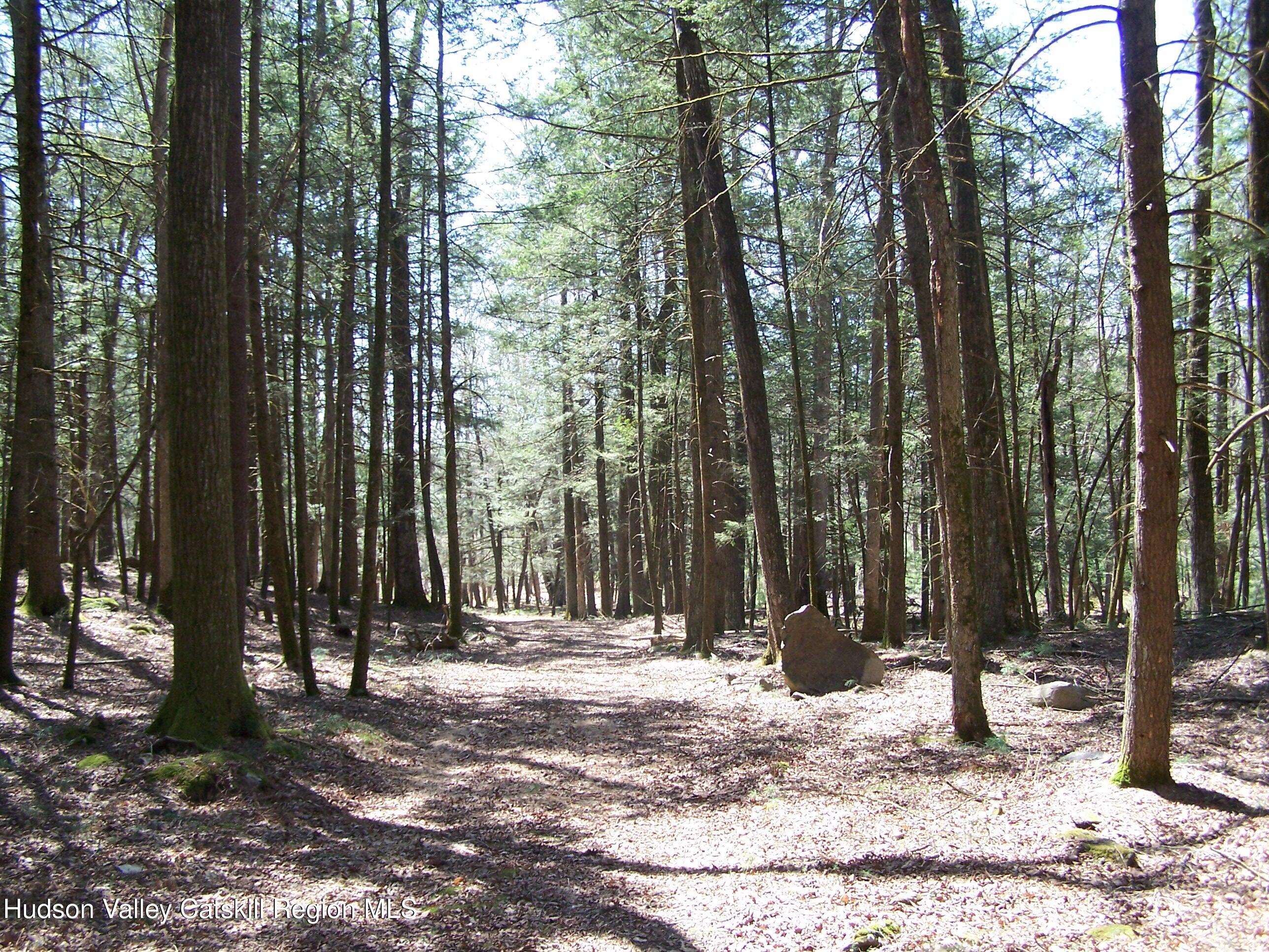 Tbd Buck Road Stone Ridge, NY 12484 - Photo 10 of 20 b11